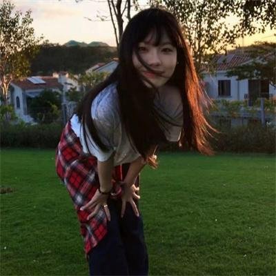 飞蛾日记